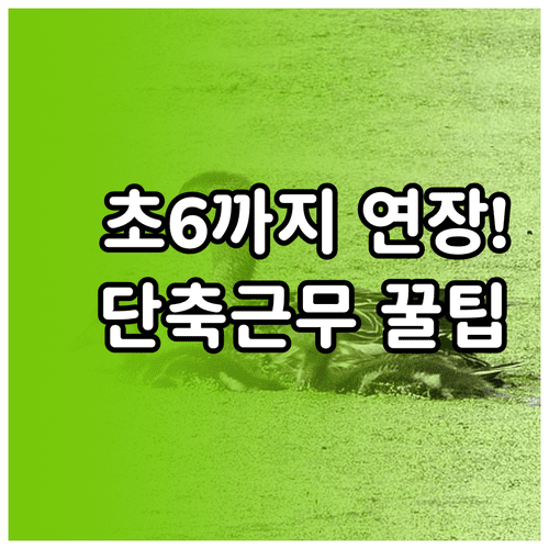 초등 6학년까지 가능한 육아기 근로시간 단축 신청 방법과 혜택