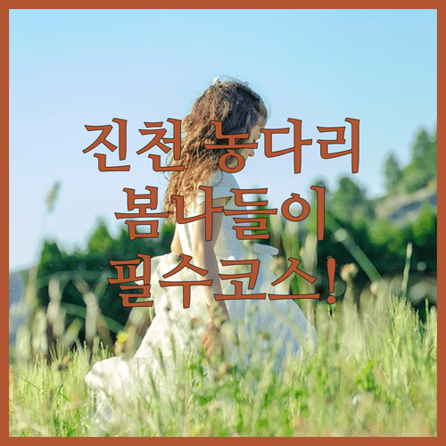 충북 진천 봄 나들이 명소 농다리 미르숲 보탑사 방문 정보