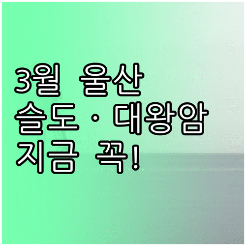 3월 울산 동구 여행 추천 명소 | 슬도 대왕암공원 주전몽돌해변