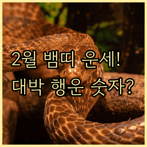 2001년생 뱀띠 2월 운세 총정리 | 행운의 색상과 숫자