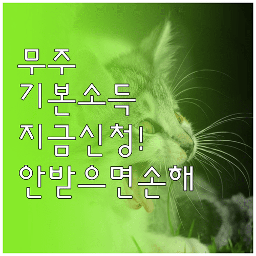 2026년 2월 무주군 기본소득 신청 기간 지원 대상 정리