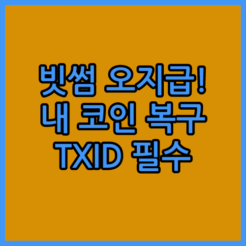 빗썸 비트코인 오지급 복구 신청 절차와 TXID 확인 방법