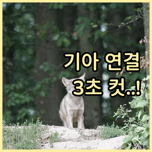 기아 고객센터 상담원 연결 대기 시간 줄이는 방법