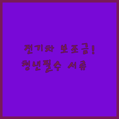 첫 전기차 구매 청년 보조금 최대 수령을 위한 필수 서류 정리