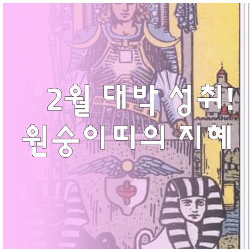 임신년생 원숭이띠 2월 핵심 운세 분석 사회적 성취와 연애의 지혜