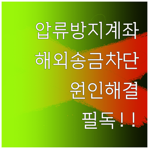 압류방지 전용계좌 해외송금 차단 원인과 해결 방법 정리