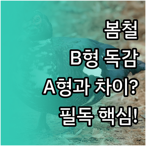 봄철 유행하는 B형 독감 특징과 A형 독감과 다른 점