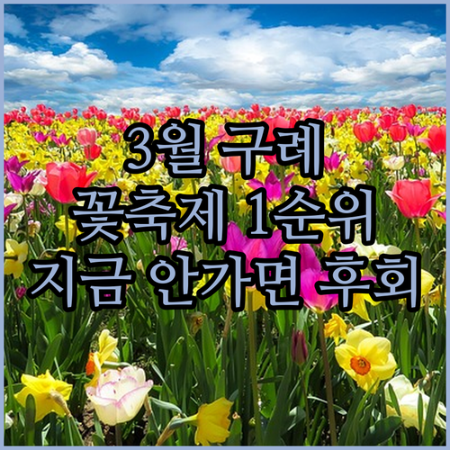 3월 구례 가볼만한곳 | 산수유마을부터 화엄사 홍매화까지
