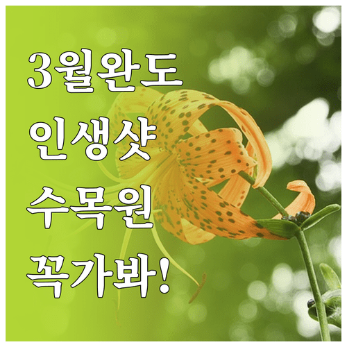 전남 완도 3월 여행 코스 | 완도수목원 입장료와 관람 포인트 정리