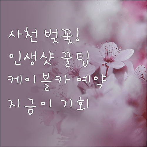 사천 봄나들이 명소 추천 | 바다 케이블카 예약 방법과 벚꽃 명소 정리