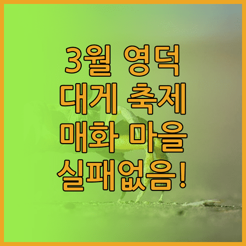 영덕 여행 3월 추천 일정 대게 축제 체험과 매화 마을 산책