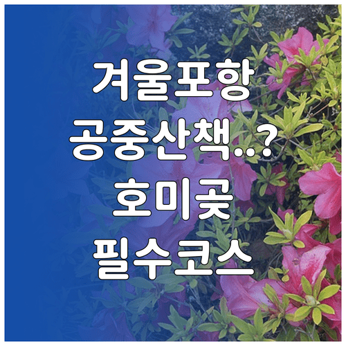 겨울 포항 여행 추천지 | 환호공원 스페이스워크와 호미곶 해맞이광장