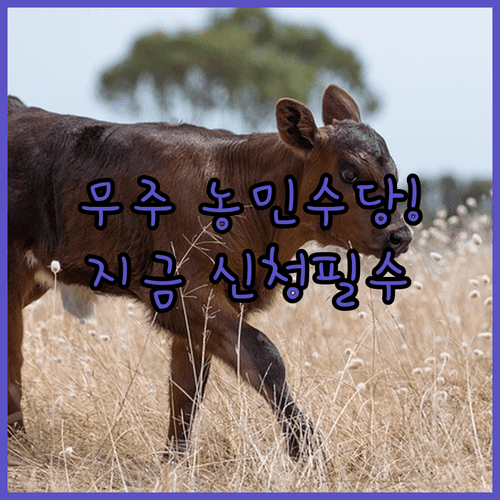 무주 농민수당 신청법 및 무주사랑상품권 지급 안내