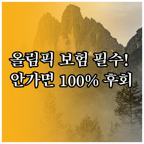 2026 이탈리아 동계올림픽 안전 여행을 위한 보험 가입 시 유의사항
