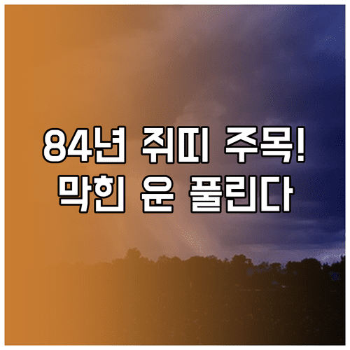 1984년생 쥐띠 3월 운세 | 정체된 흐름을 푸는 성공 비결