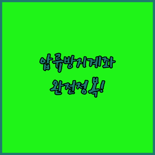 압류방지계좌 입출금 특징 분석과 안전한 자동이체 습관