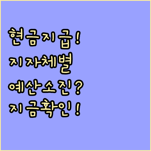 소상공인 경영안정 바우처 현금 지급 시점과 지자체별 예산 소진 현황 확인