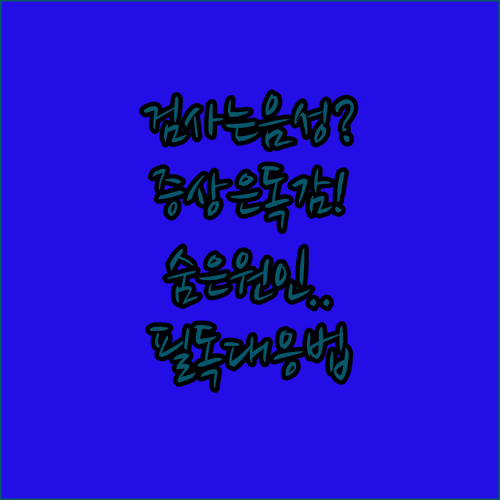 신속항원검사 음성인데 독감 증상 계속될 때 대응 방법