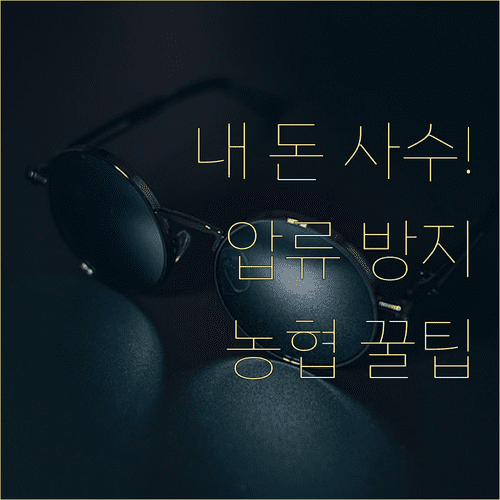 농협 행복지킴이통장 개설 안내 | 생계비 압류 방지 방법