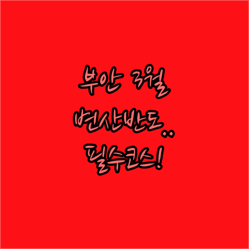 부안 3월 봄 여행 정리 | 변산반도 가볼만한곳과 여행 준비물