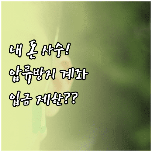 법적 압류 방지 전용계좌 사용법과 입금 제한 조건 확인