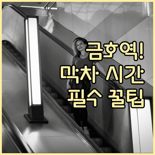 금호역 3호선 시간표와 이용 팁 | 방향별 막차 시간 및 역내 시설 안내