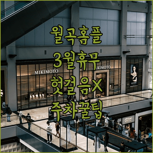 홈플러스 월곡점 3월 정기 휴무일 확인 및 무료 주차 기준