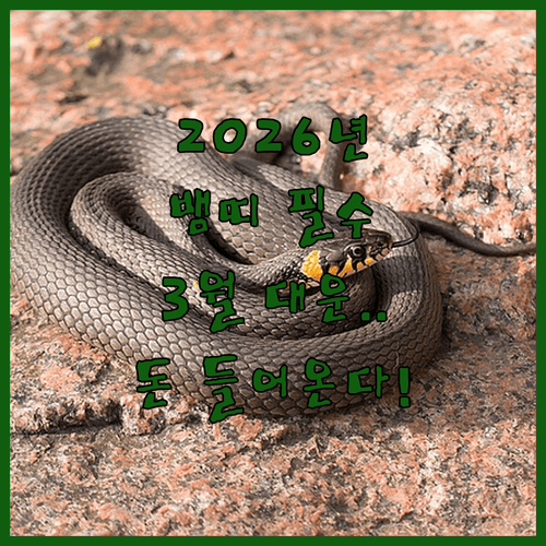 병오년 3월 뱀띠 종합 운세와 자산 관리 방향