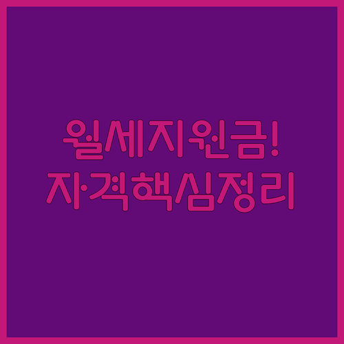 순수 월세 기준 청년 월세 특별지원 신청 자격과 혜택 분석