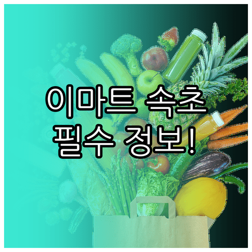 2026년 3월 이마트 속초점 방문 전 확인해야 할 핵심 정보