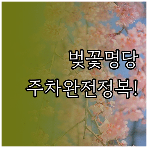 남이섬 벚꽃 여행 준비물과 주말 주차 전쟁 피하는 법