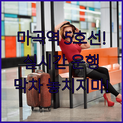 5호선 마곡역 실시간 열차 운행 정보 및 방향별 막차 시간