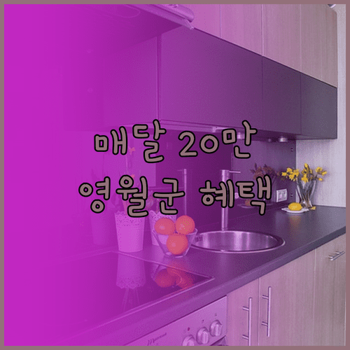 매달 20만원 영월군 청년 월세 지원 신청 대상 및 지급 시기