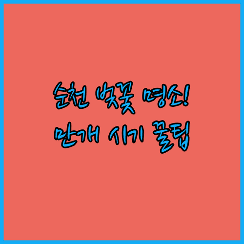 순천 벚꽃 여행 코스 정리 | 개화 시기 만개일 주차장 안내