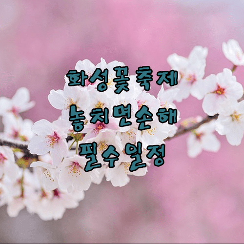 2026년 화성시 봄꽃 축제 일정과 주요 행사장 정리