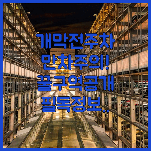 이글스파크 개막전 주차 구역 안내 및 만차 시 대처 방법