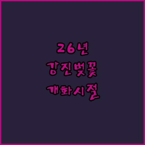 2026년 전남 강진 벚꽃 피는 시기와 추천 코스