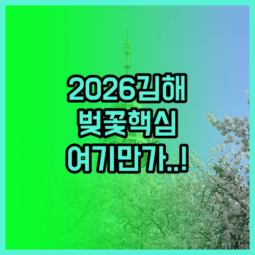 2026년 김해 벚꽃 개화 예상일 | 만개 시기 및 사진 찍기 좋은 곳