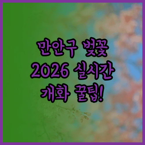 안양시 만안구 벚꽃 명소 및 2026년 실시간 개화 현황 확인