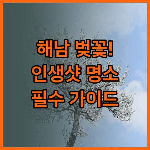 해남 벚꽃 여행 정보 개화 시기 명소 옷차림 총정리