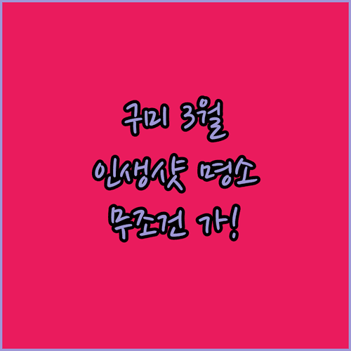 구미 3월 여행지 베스트 3 | 금오산 에코랜드 지산샛들 코스