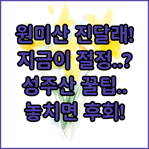 부천 원미산 진달래 축제 일정 및 소사구 성주산 둘레길 방문 정보