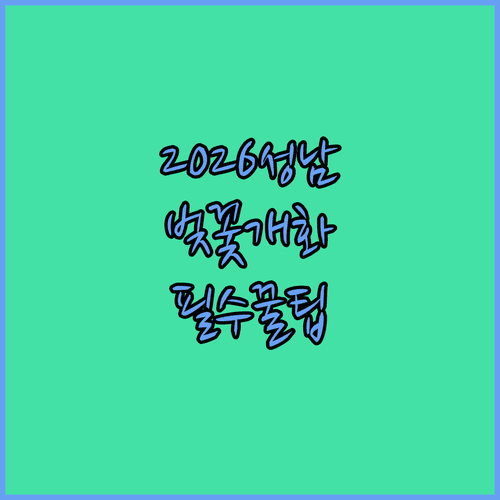 2026 성남 중원구 벚꽃 개화 현황 및 방문객을 위한 이용 꿀팁