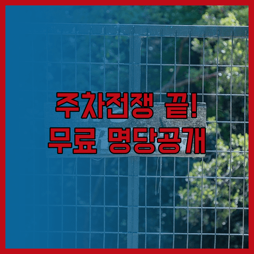 대전야구장 하상주차장 이용 주의사항과 인근 노상 주차장 위치