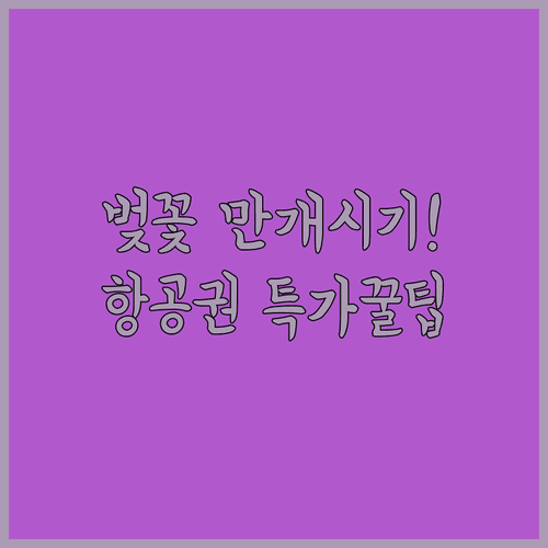 일본 벚꽃 만개 시기 확인법과 효율적인 항공권 예약 팁