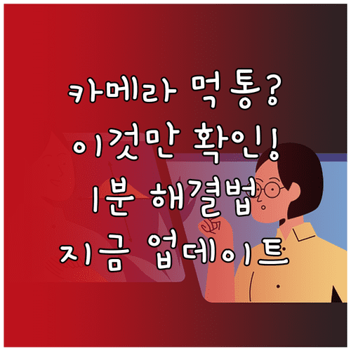 카메라 인식 안 되는 원인과 해결 방법 | 물리적 차단 확인과 시스템 업데이트
