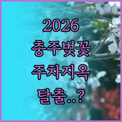 2026 충주 벚꽃 개화 시기 명소 주차 정보 정리