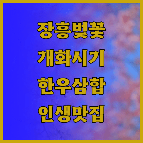 장흥 벚꽃 나들이 정보 개화 시기 한우삼합 맛집 코스