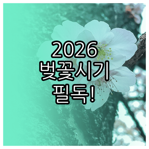 2026년 지역별 벚꽃 개화일과 만개 시기 상세 정보