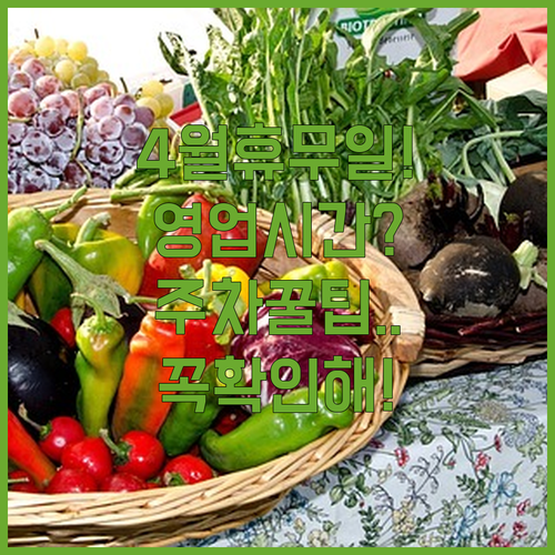 이마트 미아점 4월 일요일 휴무일과 영업시간 및 앱 활용 주차 팁